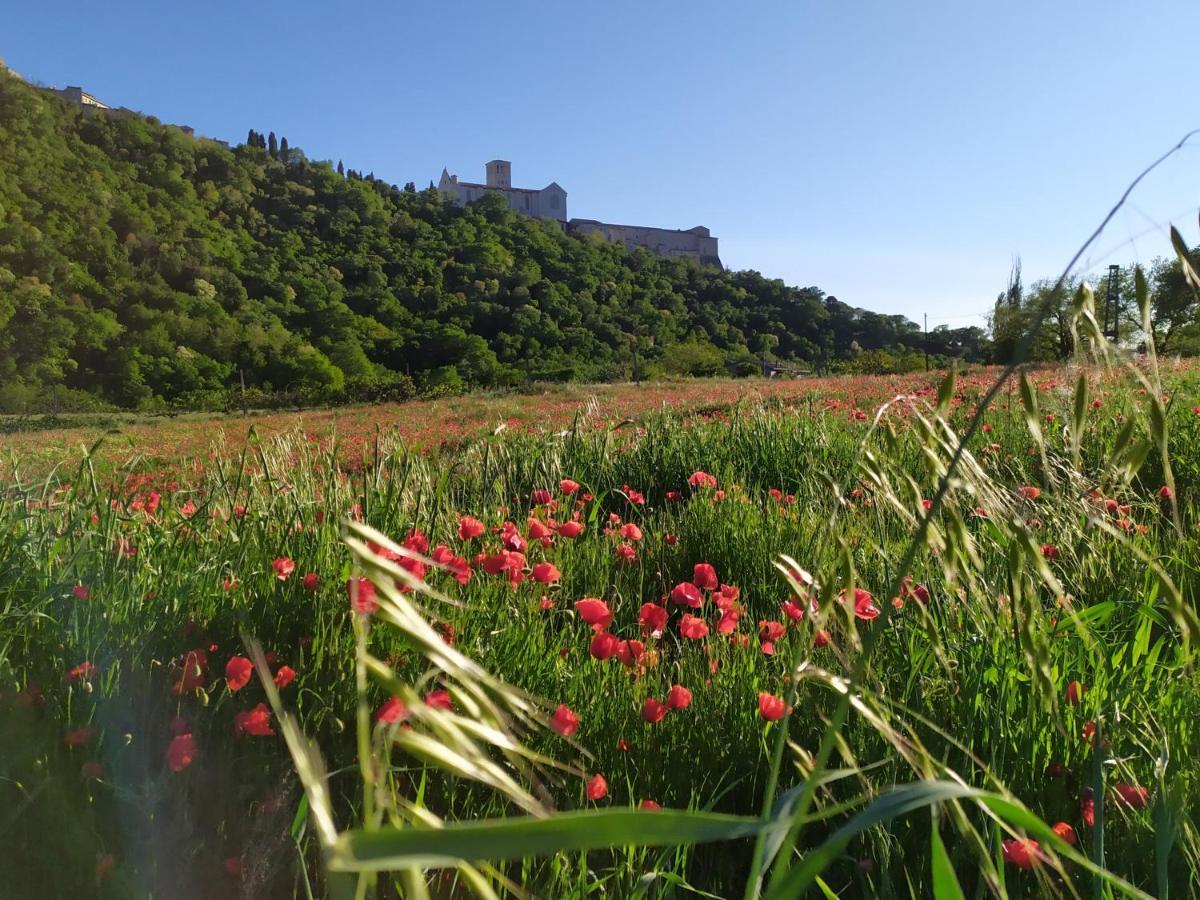 Camere Le Cascatelle Assisi Luaran gambar